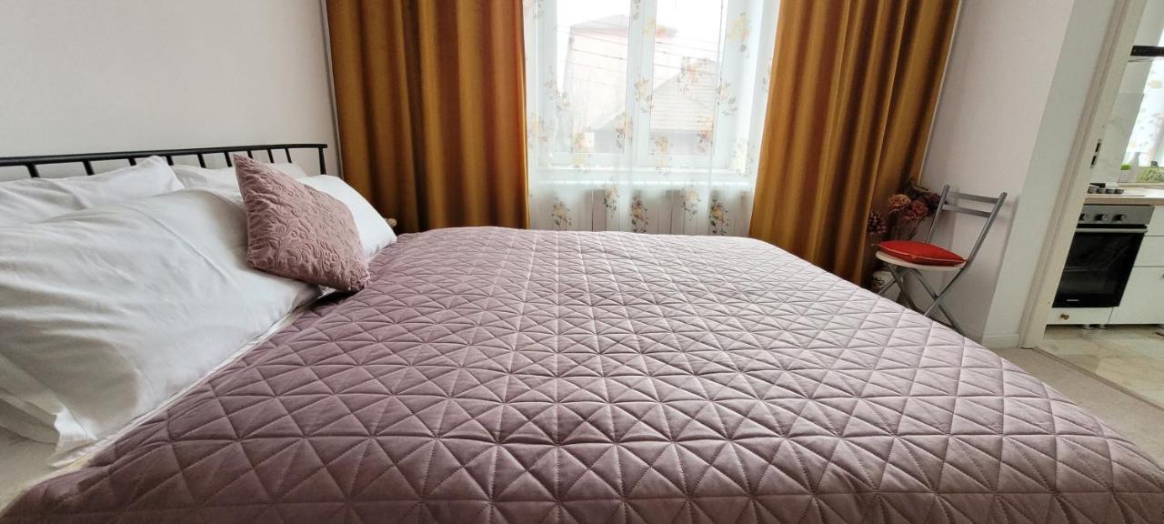 Garsoniera C&L Daire Petroşani Dış mekan fotoğraf